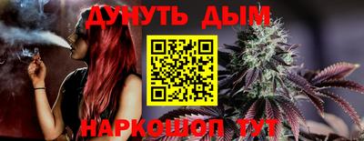 скорость Бийск