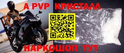 СК Беслан