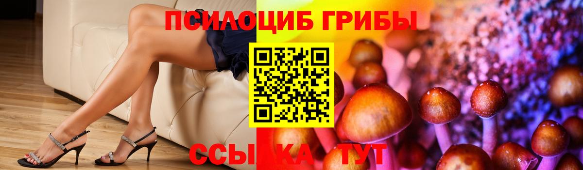 Галлюциногенные грибы ЛСД Архангельск